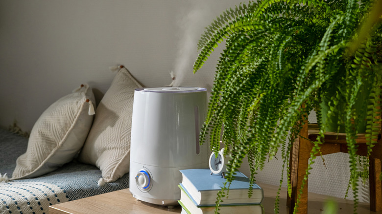 Humidifier on table next to a bushy fern