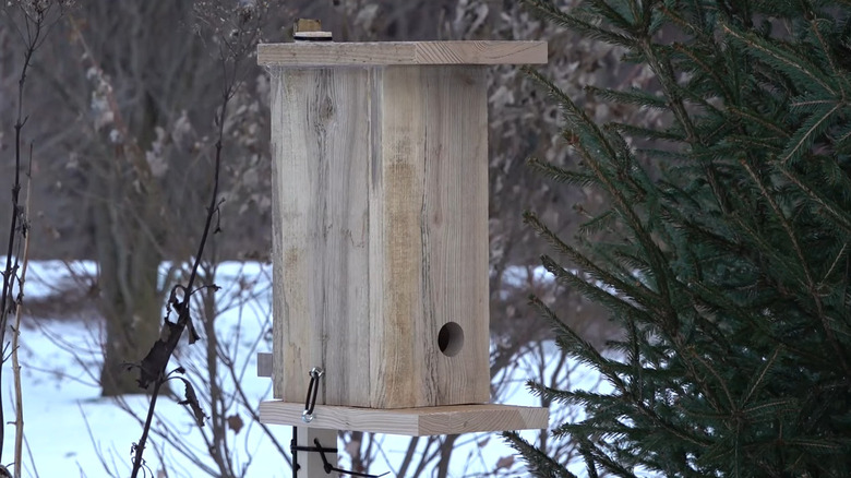 Wooden roosting box on a pole during a winter day
