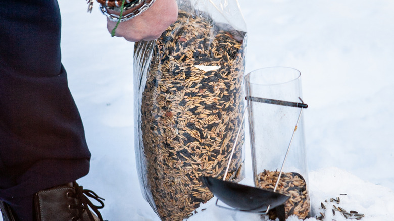 Closeup of a person's hand as they open a large bag of bird seed to refill their feeder in the snow