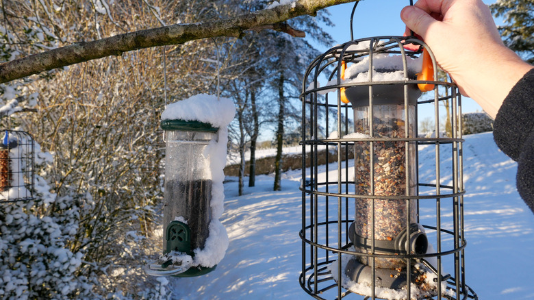 Hand hanging a cage feeder fitted to be squirrel proof next to a tube feeder and another cage feeder