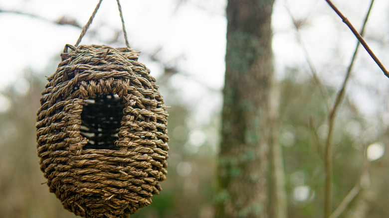 A woven basket with hole in the front suspended from a tree