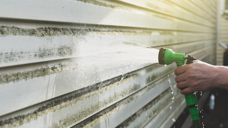 A person cleans mold off the side of a house