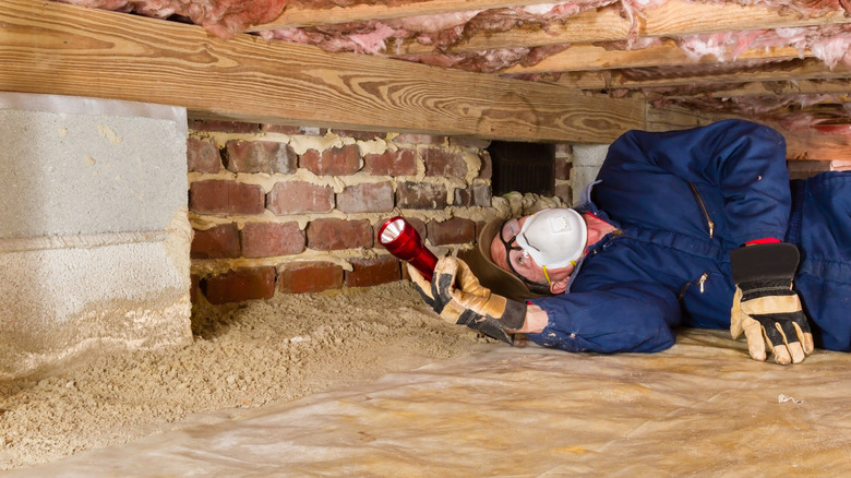 A termite inspector is crawling through a crawlspace to check for termites