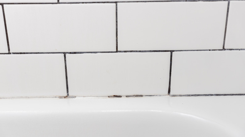 Grout that has turned black, indicating it needs to be resealed