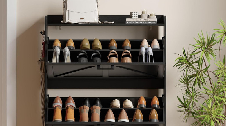Xixini's Hidden Shoe Organizer