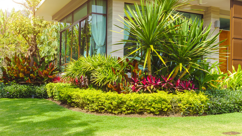 trees, shrubs, and other plants used to add curb appeal to front yard