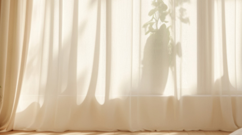 Curtain sheers draping on floor