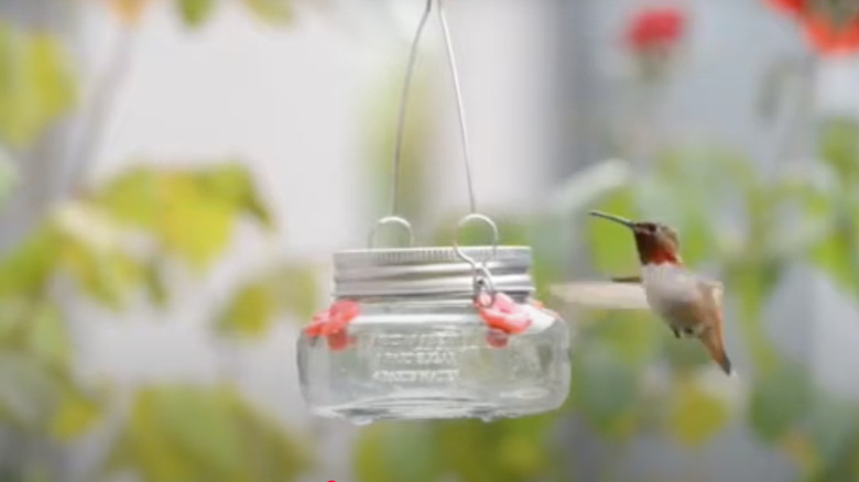 A glass jar bird feeder