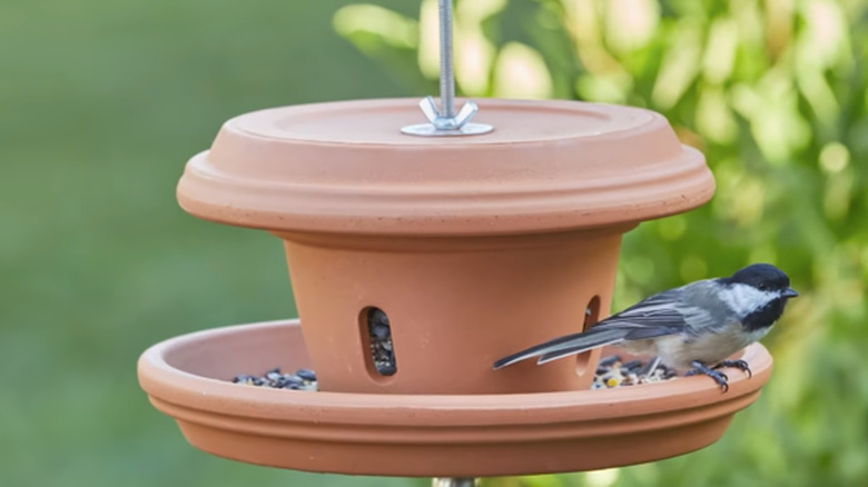 terra cotta pot birdhouse feeder with bird on it