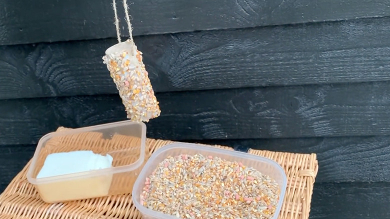hanging toilet paper roll with seeds on it
