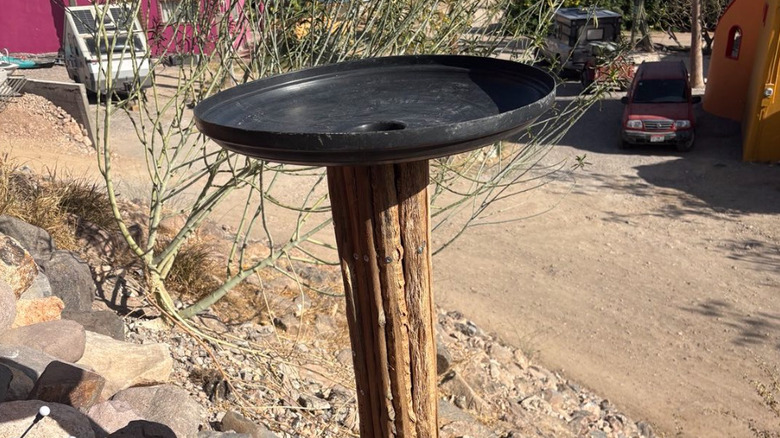 black trash can lid on top of wood post as bird bath