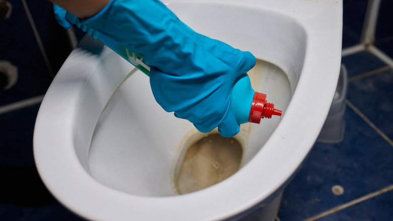 A hand with a blue rubber glove on, applying a cleaning solution to a toilet bowl