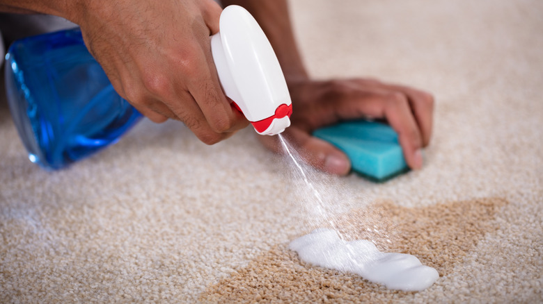 A person spraying a cleaning solution on a carpet stain