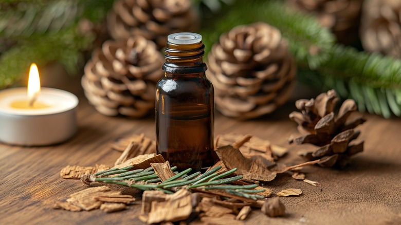 cedarwood chips branches with oil bottle