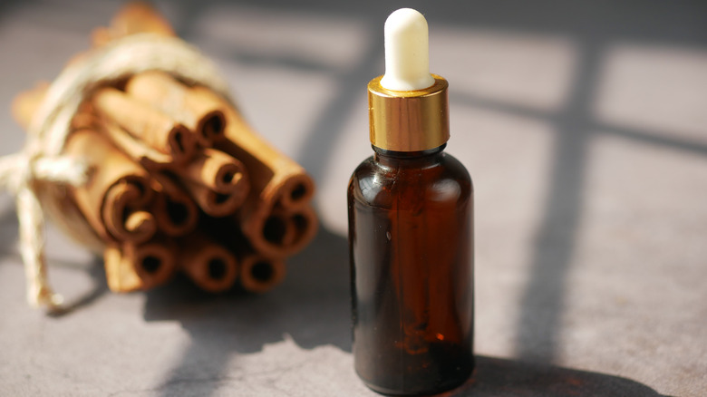 cinnamon sticks and essential oil bottle