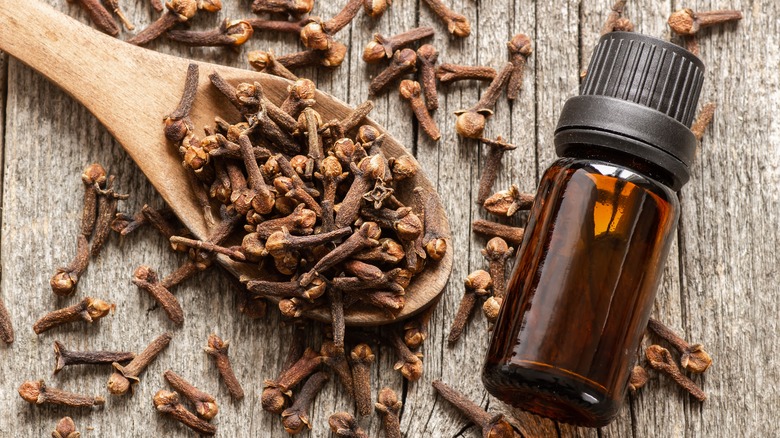 dried clove and oil bottle