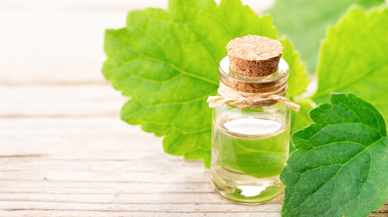 patchouli oil and leaves on table