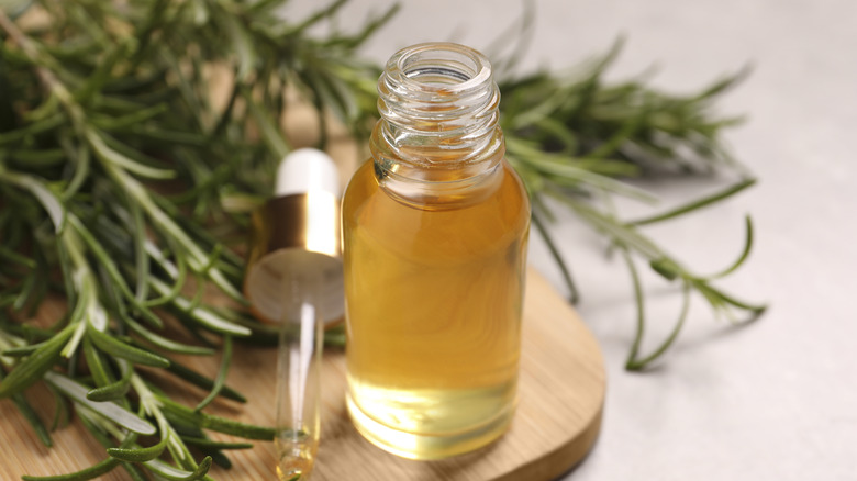 rosemary leaves and essential oil 