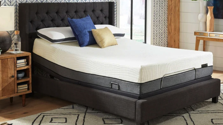 Sleep Science mattress on an adjustable base with a black bed frame in a bedroom