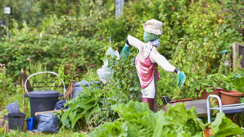 A colorful scarecrow in a garden