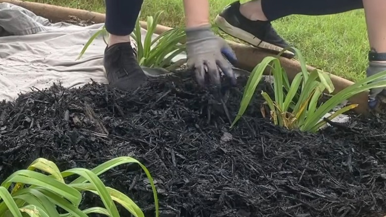 Sheet used as weed barrier