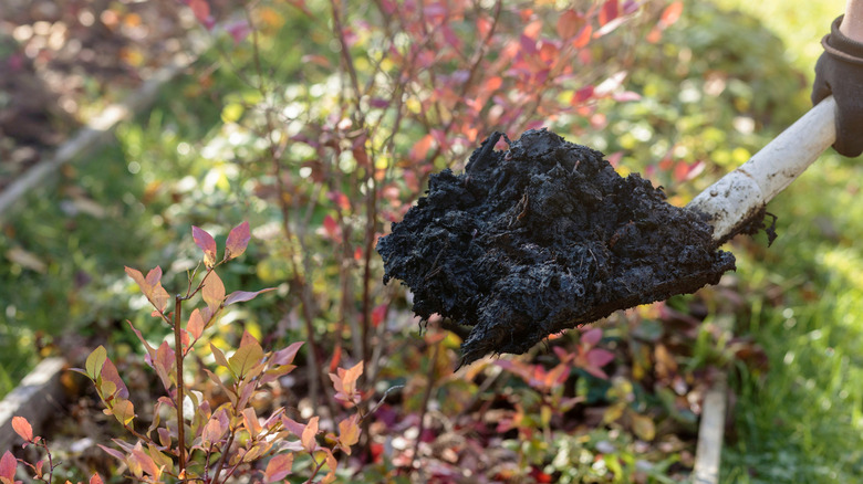 adding compost to a raised garden bed