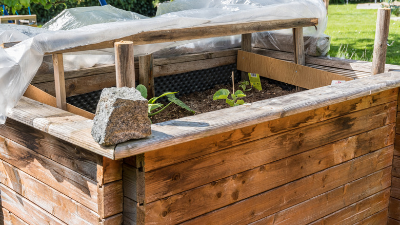 home made cold frame on raised bed