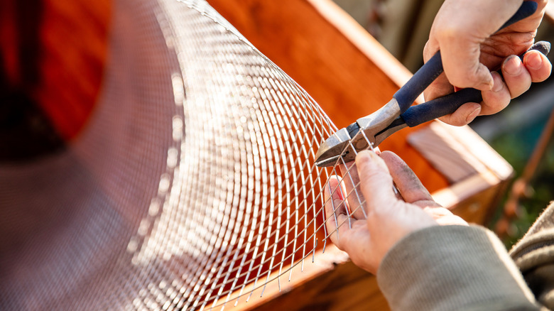 adding mesh to the bottom of a raised bed to protect it against voles