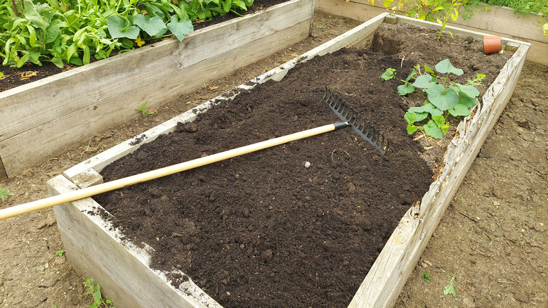 adding soil to a raised bed