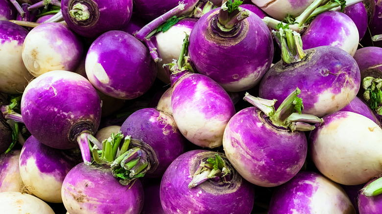 A large pile of purple and white turnips