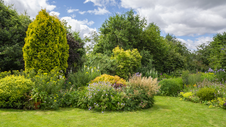 Garden with various shrubs and trees for privacy