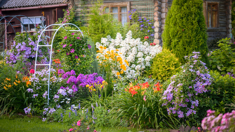Garden full of flowers and shrubs