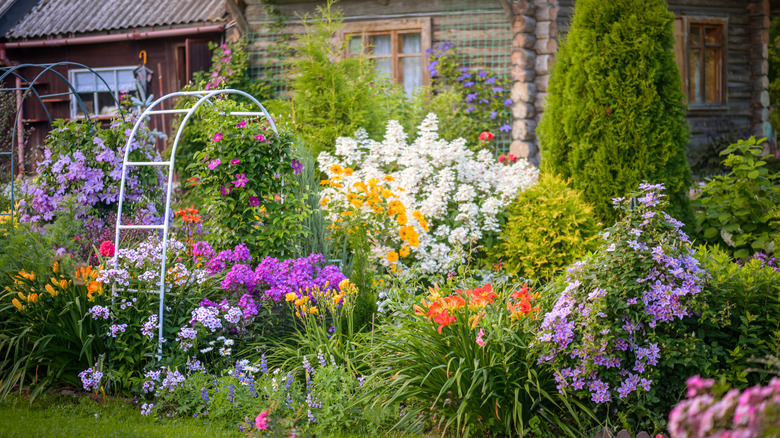 A flower garden planted near a log home is in full bloom.