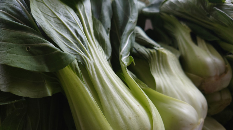 Bunches of bok choy