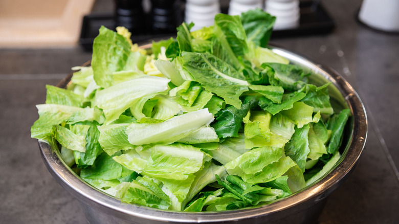Bowl filled with freshly chopped romaine lettuce