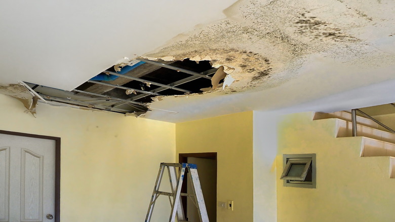 damaged ceiling