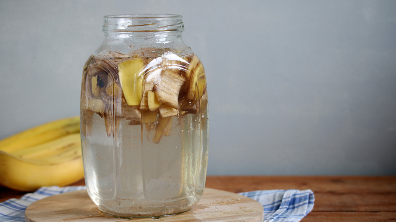 Glass jar of banana peels in water