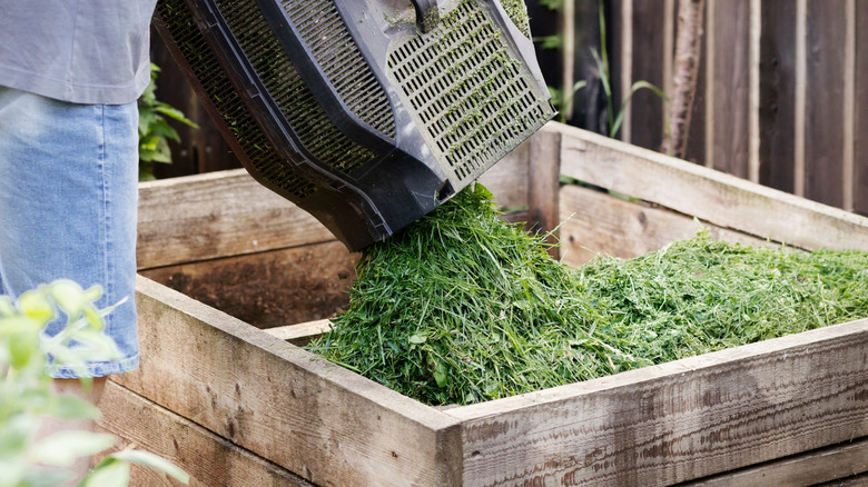 Someone dumping grass clippings into wood box