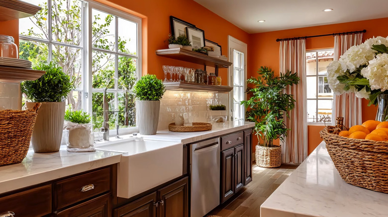 Modern kitchen with dark wood cabinets, natural stone counters, and burnt orange walls with glass, wicker, and plant accents