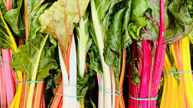 Bundles of rainbow chard are ready to cook.