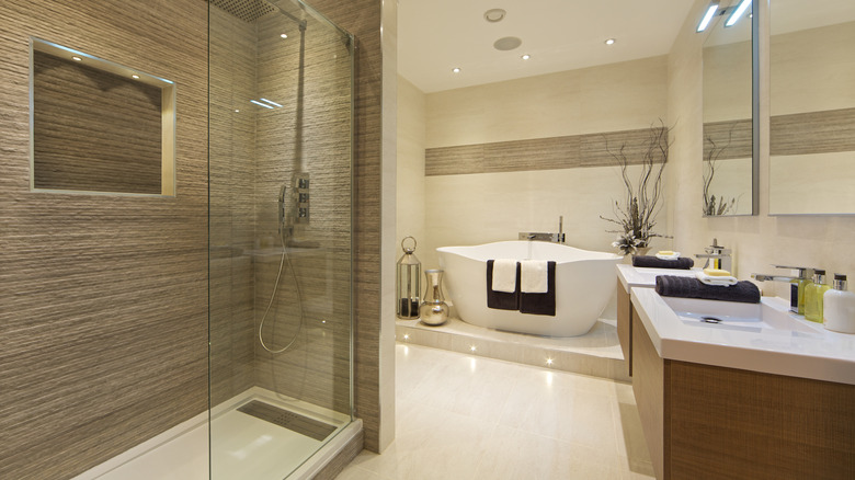 Luxurious bathroom