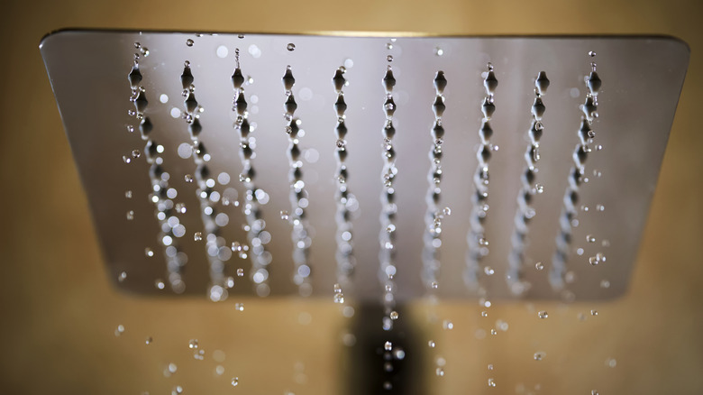 Rainfall shower head