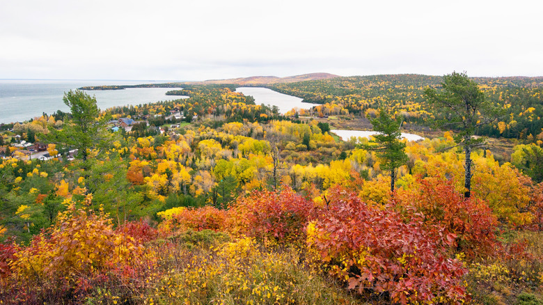 Fall trees are seen from above over Copper Harbor, MI.