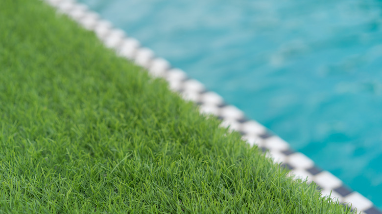 Strips of artificial grass around swimming pool