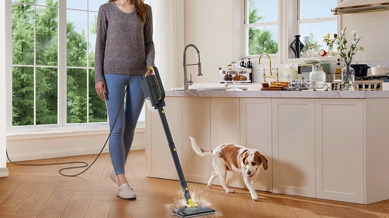 Woman using a steam mop on kitchen floors while a dog looks on
