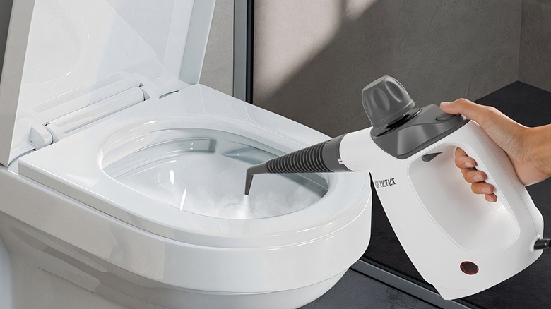 Female hands using a steam cleaner to sanitize a toilet