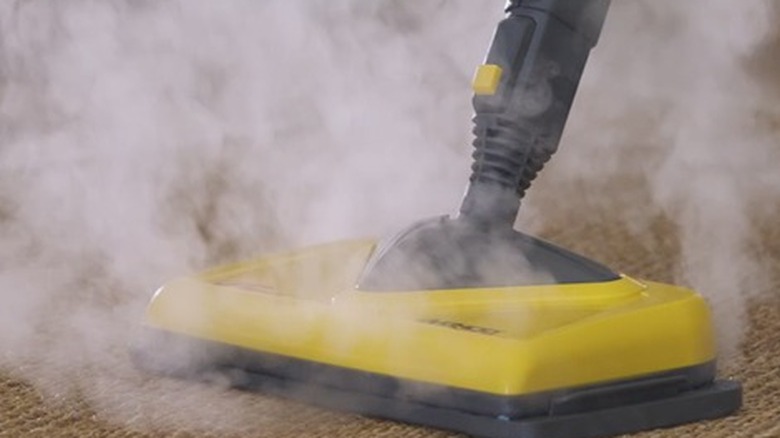 A steam cleaner being used on a carpet