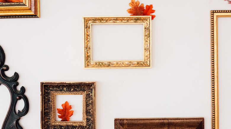 Various vintage frames with fall leaves in and around them