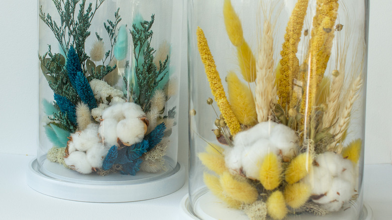 Two glass cloches with white bases with blue plants in one and yellow in the other