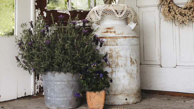 An old metal bucket with plants inside and a vintage milk jug with a doily and a plant pot sitting on top